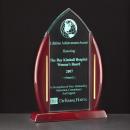 Acrylic Droplet Award with Rosewood Base & Edges