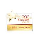 Denham Full Color Gold Star Crystal Award