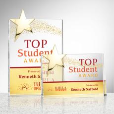 Denham Full Color Gold Star Crystal Award - Full Color Awards