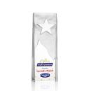 Stapleton Full Color Star Crystal Award
