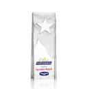 Stapleton Full Color Star Crystal Award