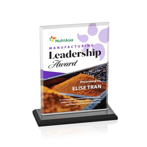Corporate Awards - Crystal Awards - Vitalia Full Color Black Rectangle Crystal Award
