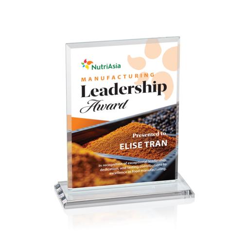 Corporate Awards - Crystal Awards - Vitalia Full Color Clear Rectangle Crystal Award