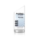 Islington Full Color Peak Crystal Award