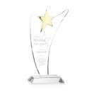 Atkinson Gold Star Crystal Award