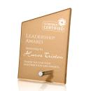 Atchison Russet Slant Silver Peak Glass Award