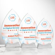 Newham Full Color Crystal Award - Crystal Awards