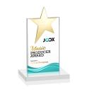 Bryanston Gold Full Color White Star Crystal Award