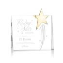 Bradenton Gold Star Crystal Award