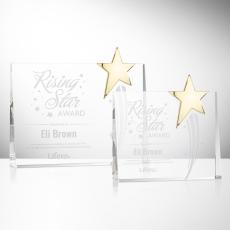 Bradenton Gold Star Crystal Award - Newest Additions