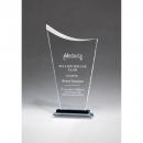 Clear Contemporaray Art Glass Award with Pedestal Base