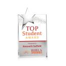 Denham Full Color Silver Star Crystal Award