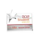 Denham Full Color Silver Star Crystal Award