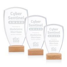 Hendrick Arch & Crescent Crystal Award - Corporate Awards