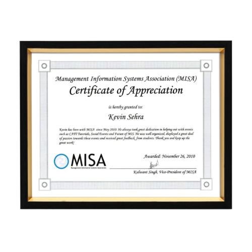 Corporate Awards - Certificate Frames - Napier Certificate Frame