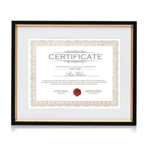 Corporate Awards - Certificate Frames - Luxor Certificate Frame