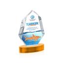 Norwood Full Color Amber on Alberton Base Crystal Award