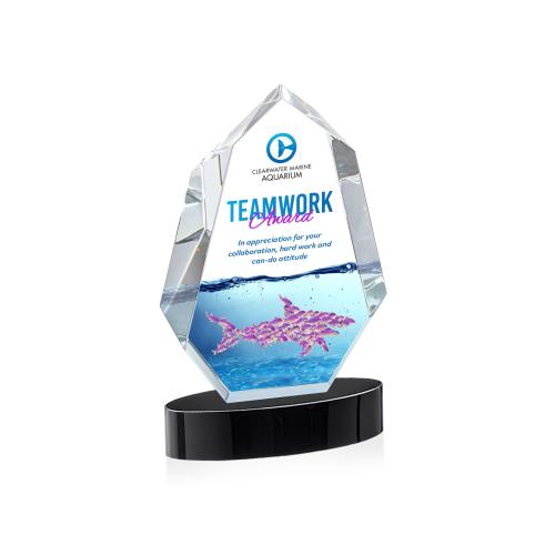 Corporate Awards - Crystal Awards - Norwood Full Color Black on Alberton Base Crystal Award