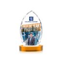 Wilton Full Color Amber on Alberton Base Arch & Crescent Crystal Award