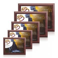 Farnsworth/AstroSub - Cherry/White - Full Color Awards