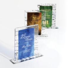 Triumph Fusion Rectangle Glass Award - Glass Awards