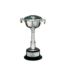 Silver-Plated Pedestal Bowl Cup - Corporate Awards