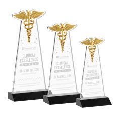 Caduceus Black Abstract / Misc Crystal Award - Corporate Awards