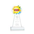 Laidlaw Full Color/Etch Clear Circle Crystal Award
