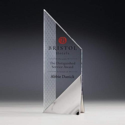 Corporate Awards - Modern Awards - Criterion Peak Metal Award