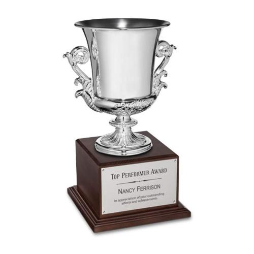 Corporate Awards - Modern Awards - Award Cup - Silver