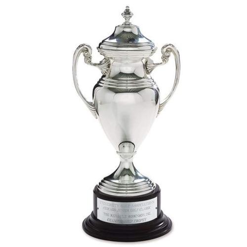 Corporate Awards - Modern Awards - Silver Cup Cups & Bowl Metal Award