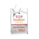 Denham Full Color Silver Star Crystal Award