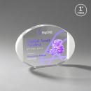 Darwin Full Color White Circle Crystal Award
