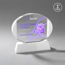Darwin Full Color White on Newhaven Base Circle Crystal Award