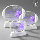 Darwin Full Color White on Newhaven Base Circle Crystal Award