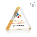 Spartan Triangle Full Color Gold Diamond Acrylic Award