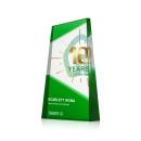 Amstel Full Color Green Obelisk Crystal Award