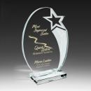 Luminary Star Glass Award