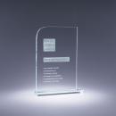 Clear Optical Crystal Current Professional Recognition Award