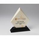Premier Diamond Stone Resin Award