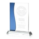 Landfield Blue Rectangle Award
