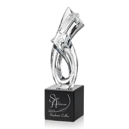 Corporate Awards - Birdhaven Star Award