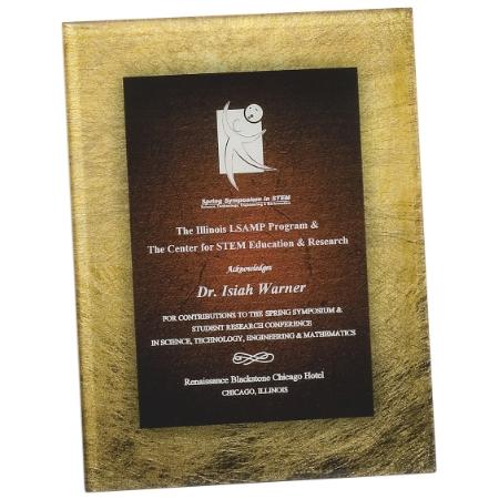 Corporate Awards - Award Plaques - Gold & Burgundy Acrylic Rectangle Art Plaque with Hanger