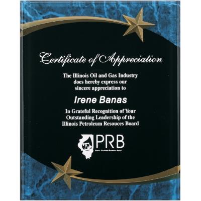 Corporate Awards - Acrylic Corporate Awards - Blue Marble & Acrylic Shooting Star Plaque