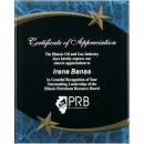 Blue Marble & Acrylic Shooting Star Plaque