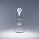 Luminosity Clear Optical Crystal Light Bulb Award