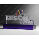 Bison Cares Custom Award