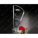 Clear Optical Crystal Merit Award
