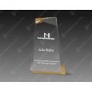 Gold Wedge Clear Acrylic Award