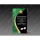 Green Carved Acrylic Award with Gold Star